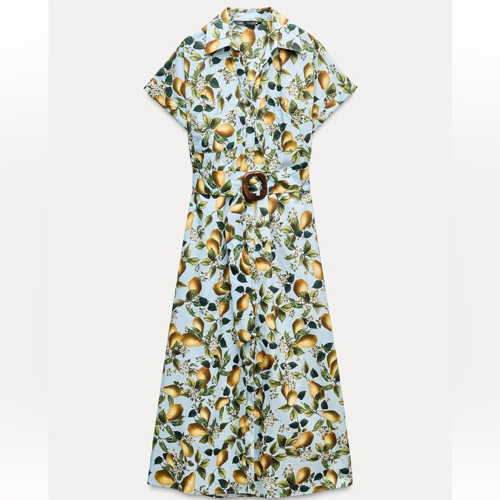 NWT Zara Fruit Print Midi Dress